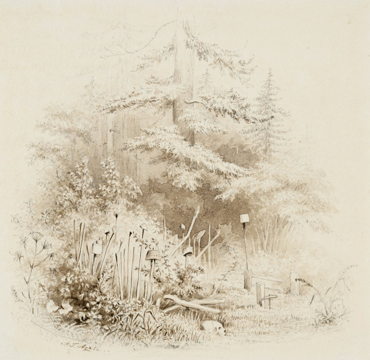 俄罗斯印第安人墓地，1841年（刷子和棕色洗涤，含石墨，在奶油编织纸上） 作者 阿尔弗雷德·托马斯·玛格