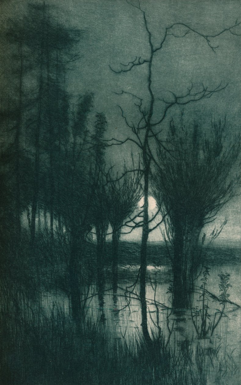寂静的月亮，c1901 作者 东阿尔弗雷德