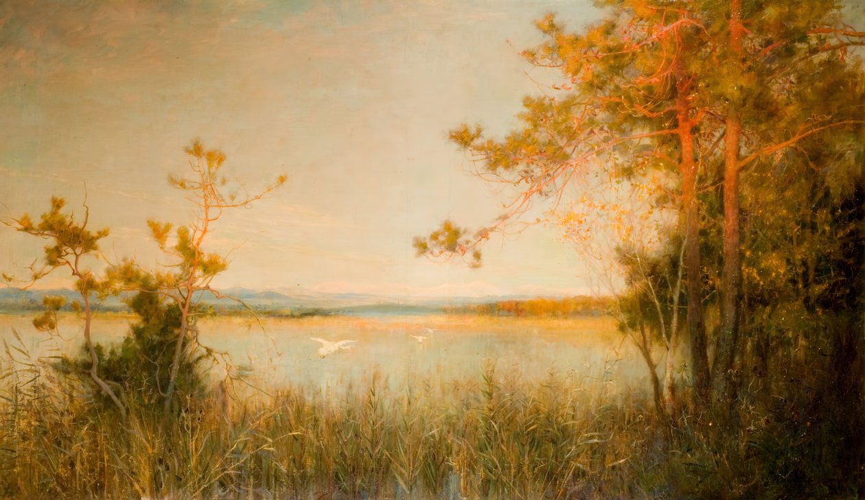 芦苇荡和阳光下的山丘，1890-91。 作者 阿尔弗雷德·爱德华·东