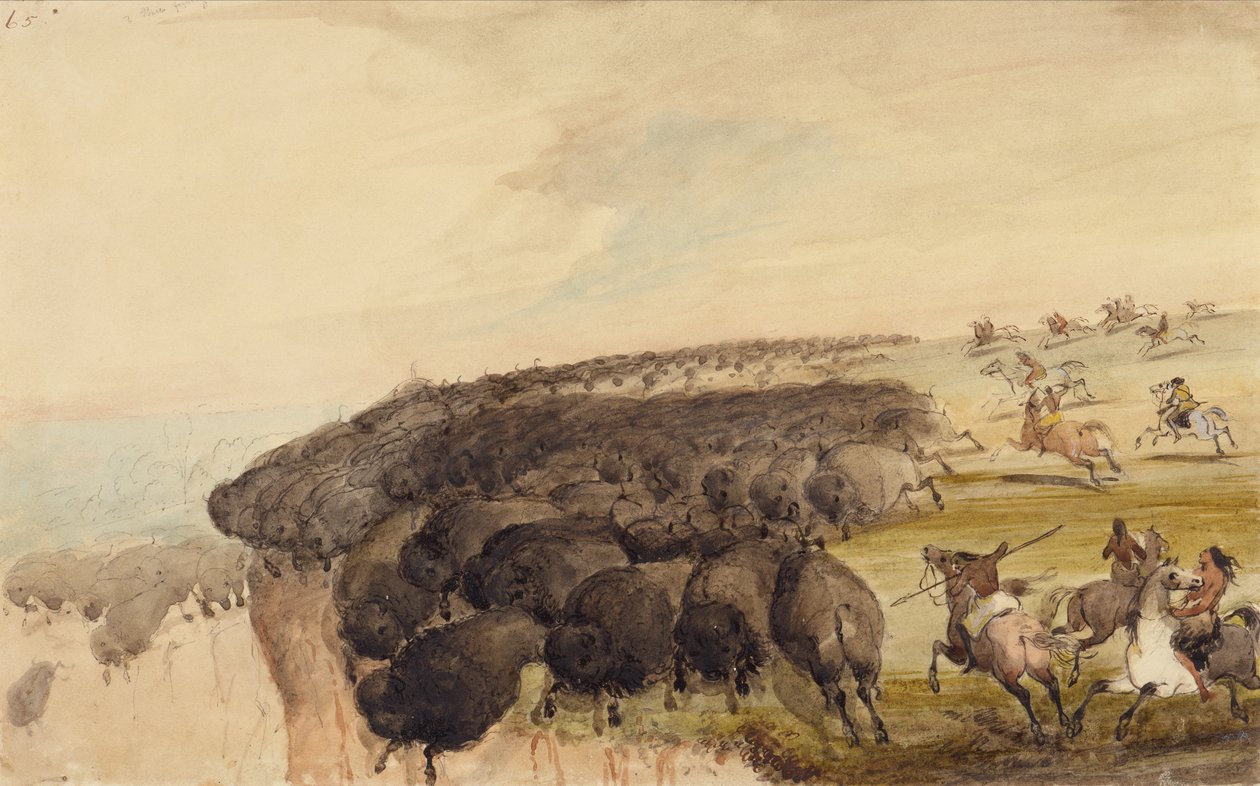 驱赶水牛群越过悬崖，约 1837 年（纸上铅笔、钢笔、墨水和水彩画） 作者 阿尔弗雷德·雅各布·米勒
