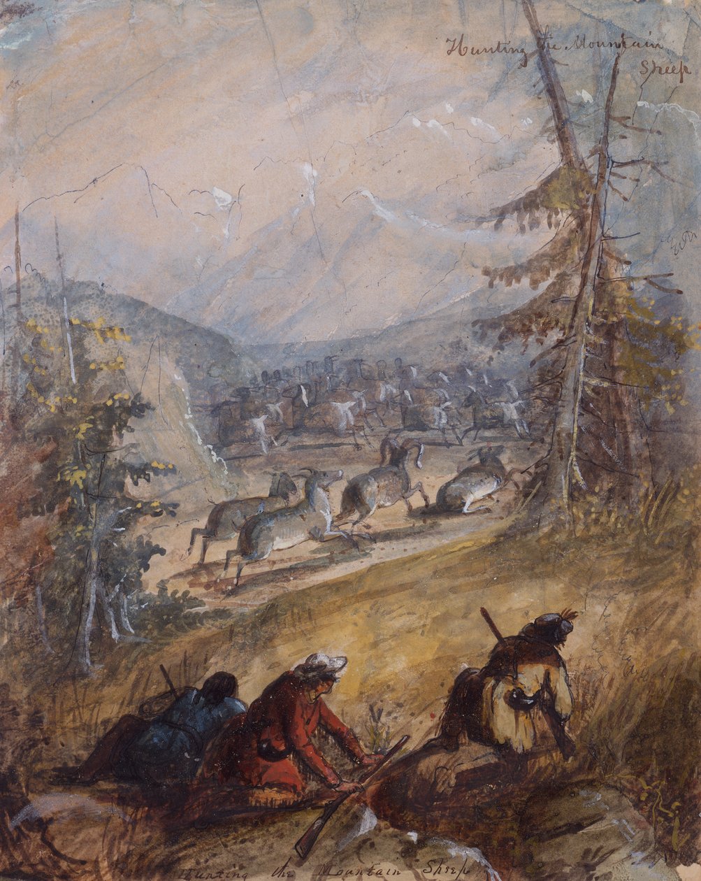 狩猎山羊，约1837年（铅笔、钢笔和墨水、水彩和水粉画，纸本） 作者 阿尔弗雷德·雅各布·米勒