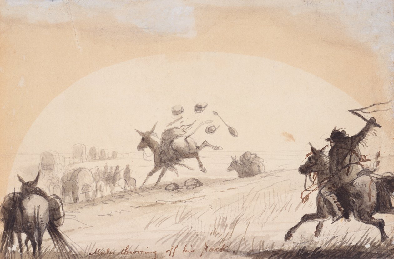 骡子甩掉背包》，约 1837 年（纸上铅笔、钢笔、墨水和水彩画） 作者 阿尔弗雷德·雅各布·米勒