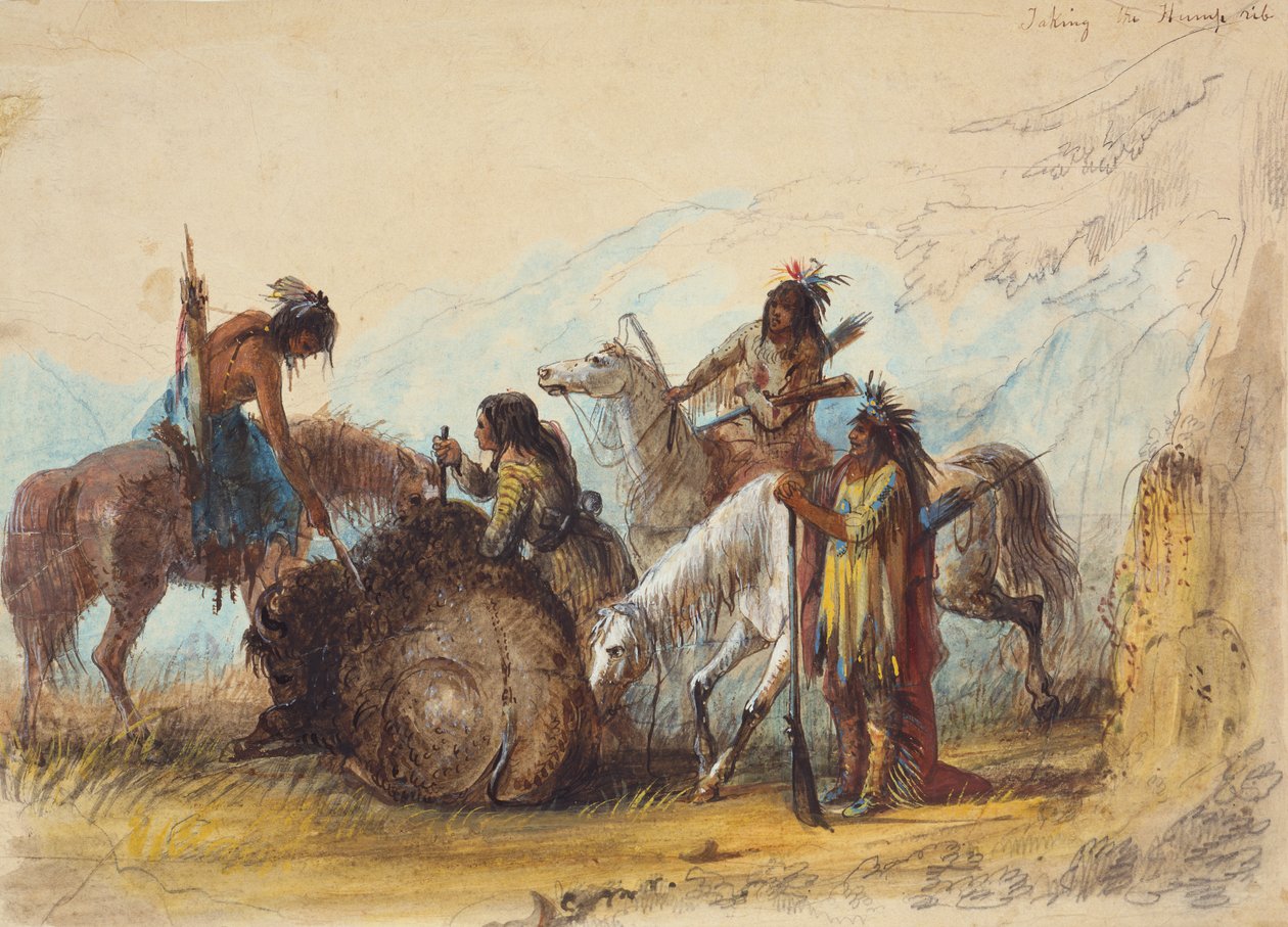 驼峰肋骨》，约 1858 年（纸上铅笔、水彩和水粉画） 作者 阿尔弗雷德·雅各布·米勒