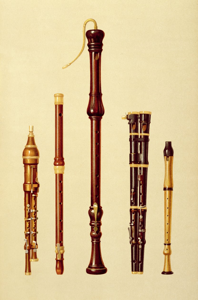 来自&39;Musical Instruments&39;（彩色光刻）的双层flageolet，德国长笛，贝斯录音机，双层flageolet和录音机 作者 阿尔弗雷德·詹姆斯·希普金斯