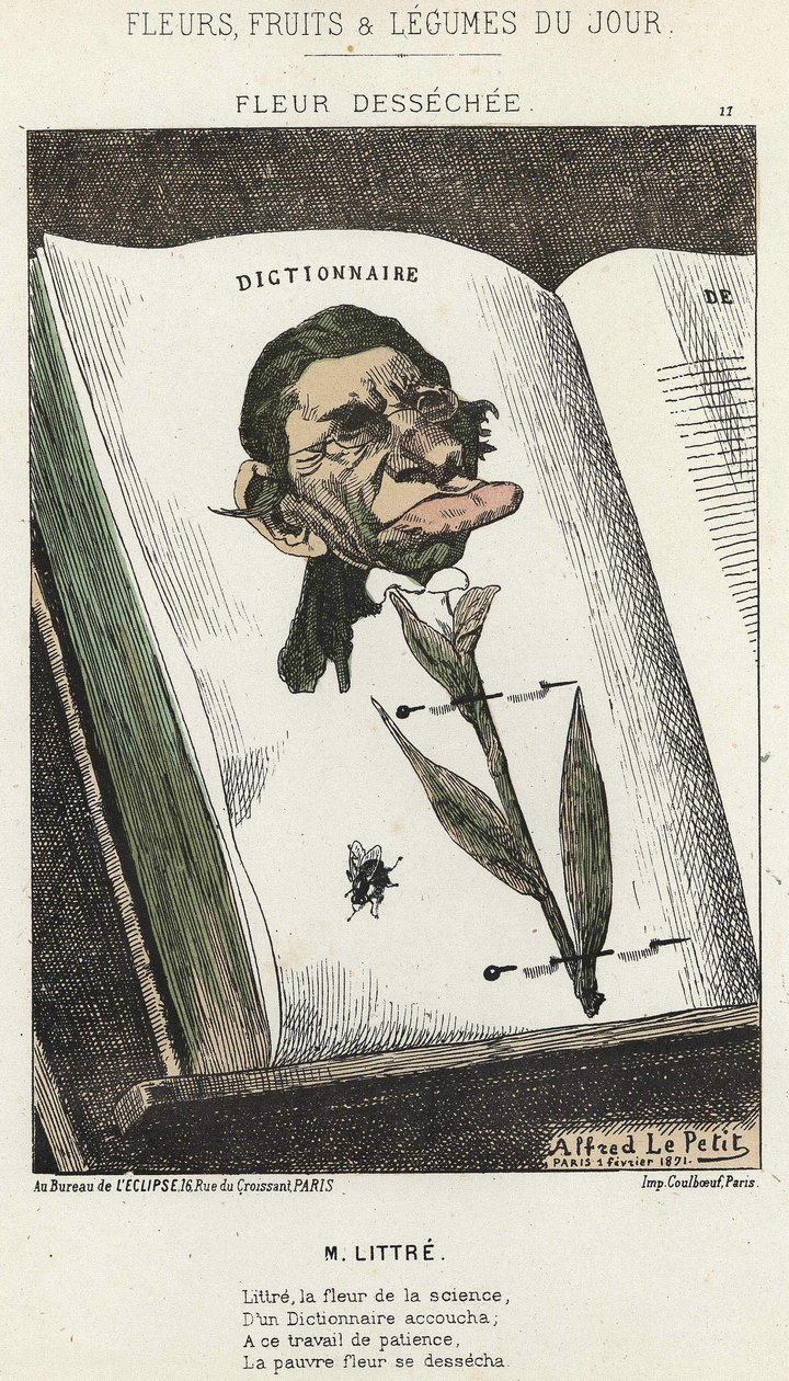 Déséchée花：关于Littré的漫画--1871年2月1日 "每日花卉、水果和蔬菜 "中的插图。 作者 阿尔弗雷德·勒·佩蒂特
