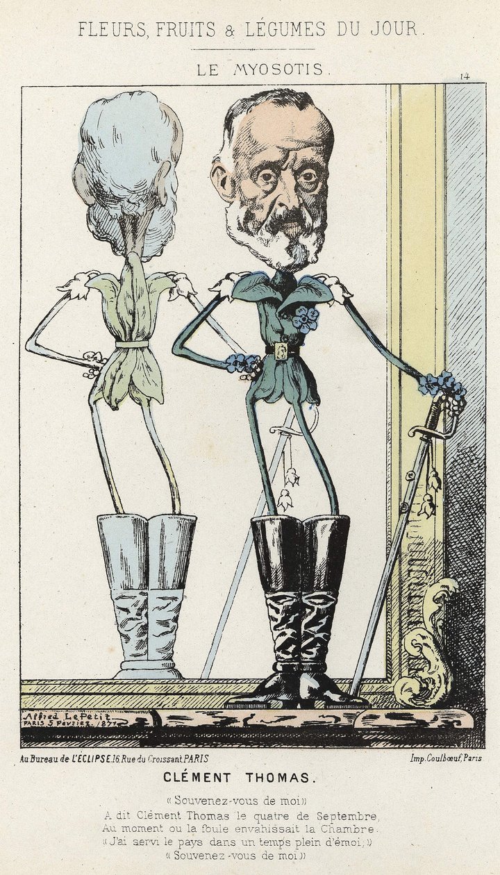 Le Myosotis：关于克莱门特-托马斯的漫画--1871年2月3日在 "当天的花、水果和蔬菜 "中的图片。 作者 阿尔弗雷德·勒·佩蒂特