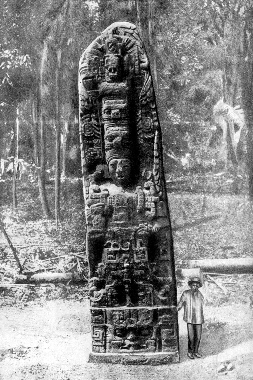 1922年，危地马拉基里瓜原始森林中的一个谜团。 作者 阿尔弗雷德·P·莫兹利