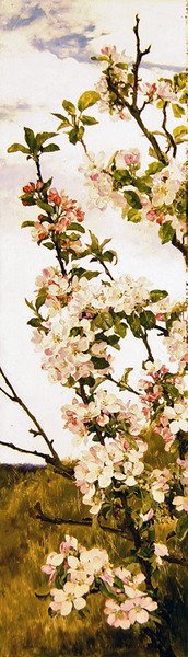 苹果花，约1880-86（油画板）。 作者 阿尔弗雷德·帕森斯
