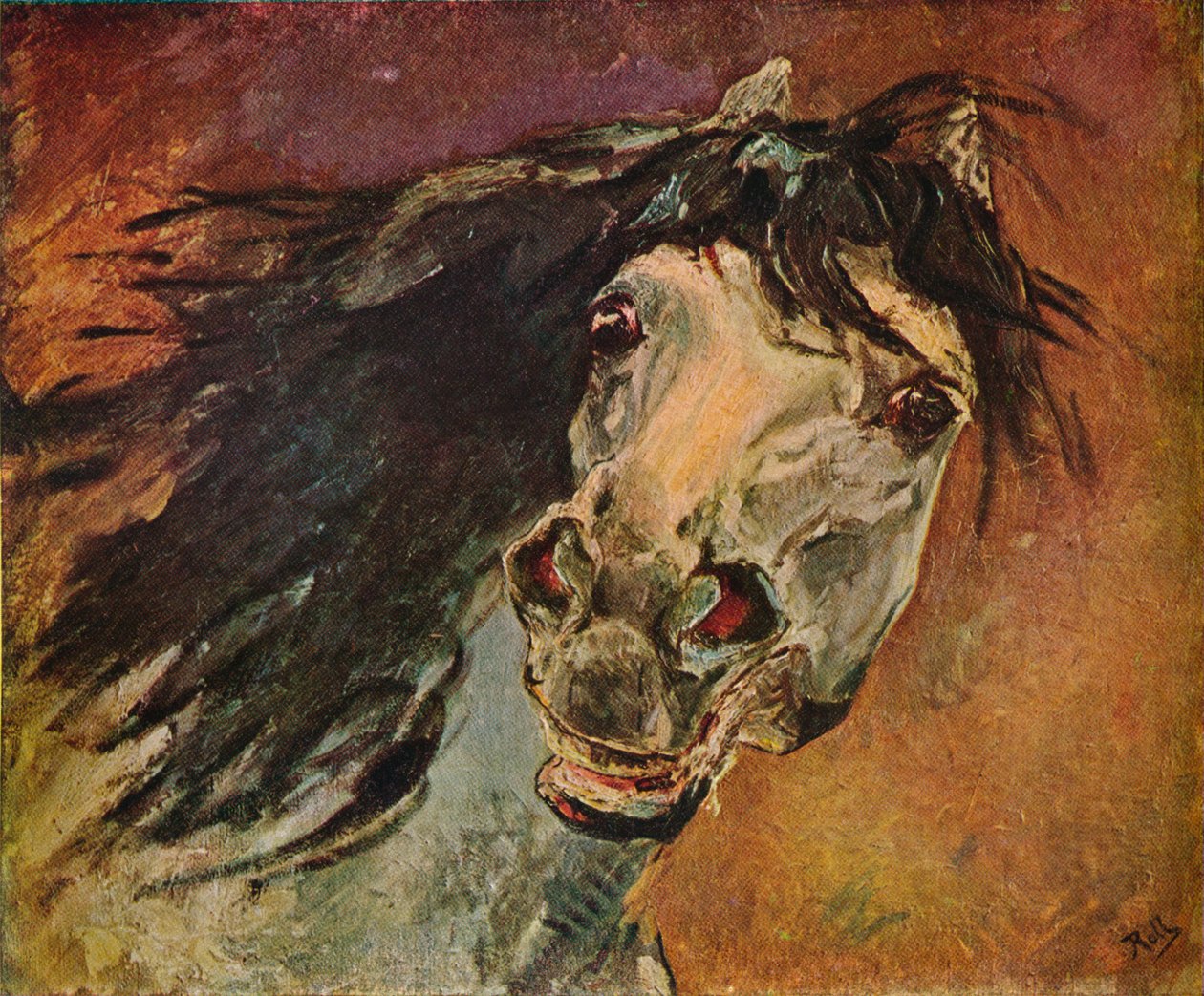 安达卢西亚马头，c1910 作者 阿尔弗雷德·罗尔