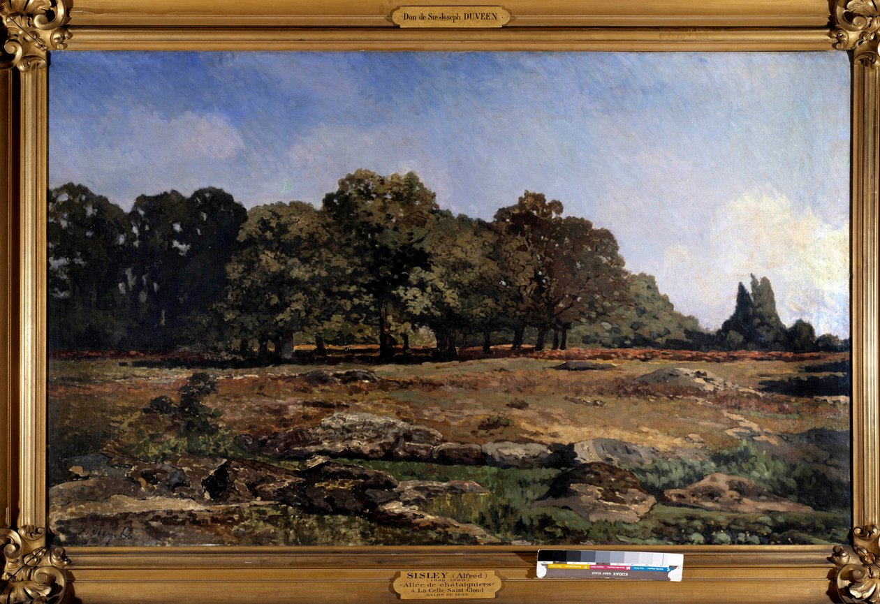 阿尔弗雷德·西斯莱 (Alfred Sisley，1839-1899) 1865 年从栗树到塞勒圣云的小巷 作者 阿尔弗雷德·西斯利