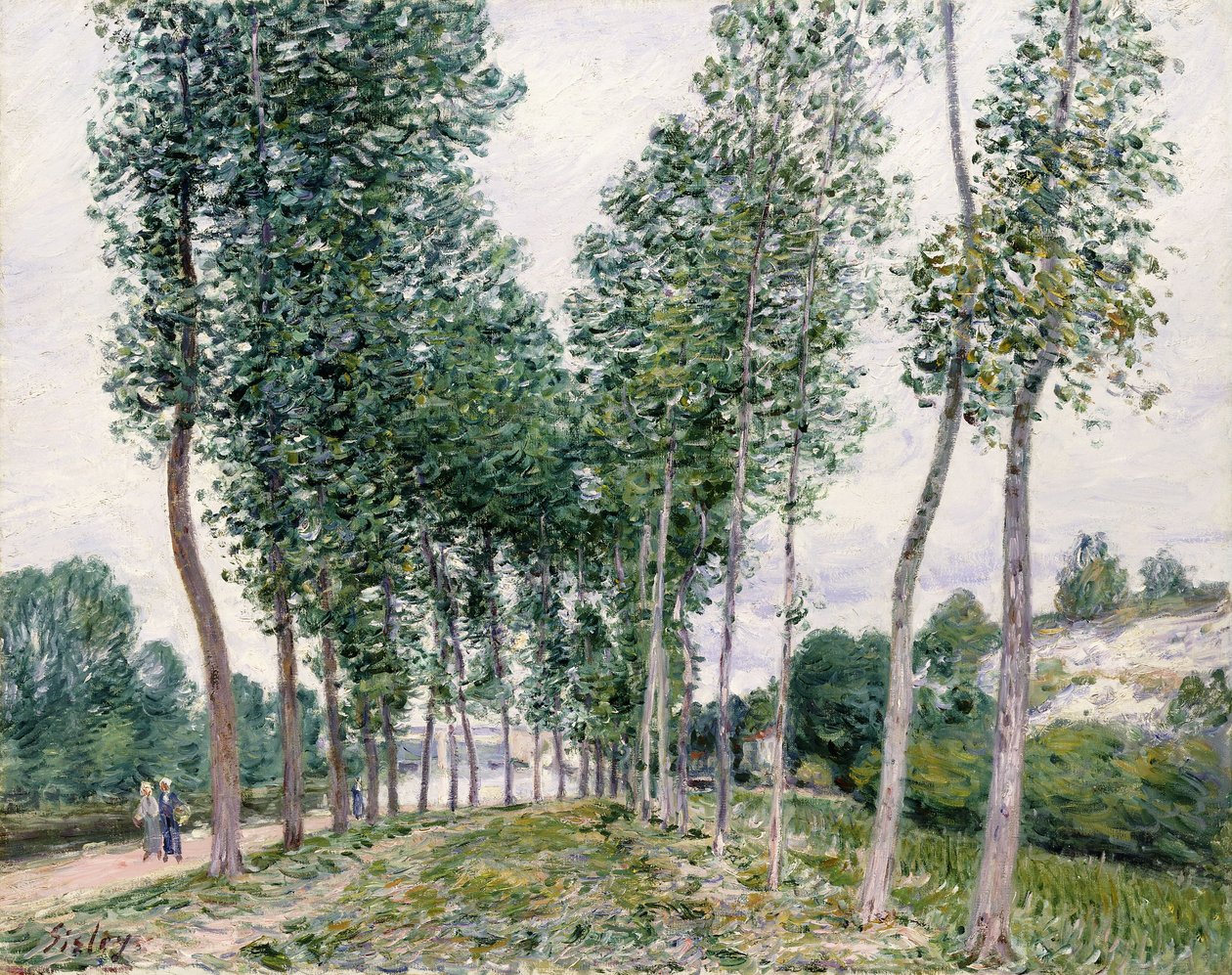 杨树胡同（1892） 作者 阿尔弗雷德·西斯利
