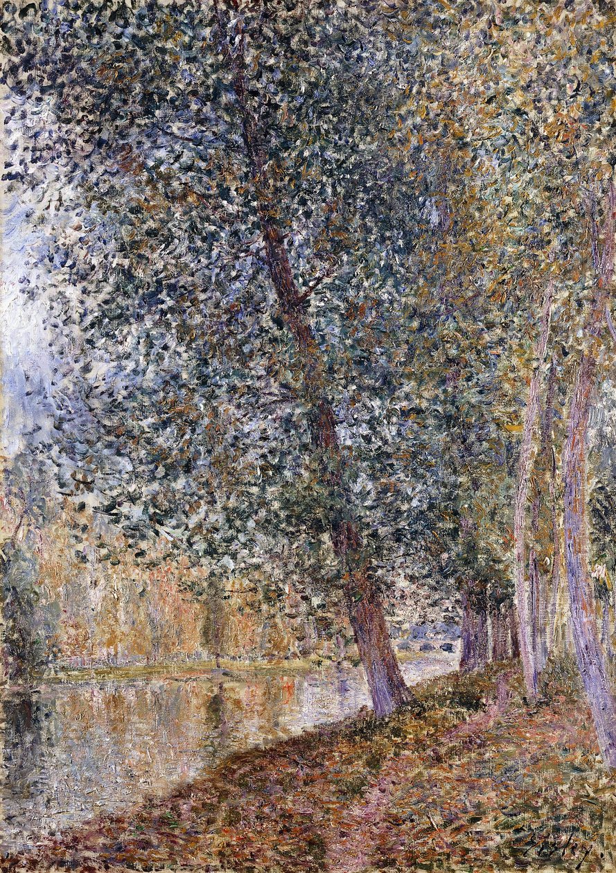 秋天，Loings的银行； L“ Autumne，Bords du Loing，1880年 作者 阿尔弗雷德·西斯利