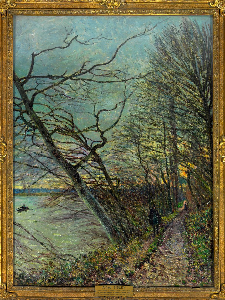 Le bois des Roches, Veneux - Nadon (Veneux-les-Sablons), seine et marne 绘画 Alfred Sisley (1839-1899) 1880 Dim 0.73 x 0.55 m 巴黎卢浮宫博物馆 强制提及：捐赠 Helene et Victor Lyon 作者 阿尔弗雷德·西斯利