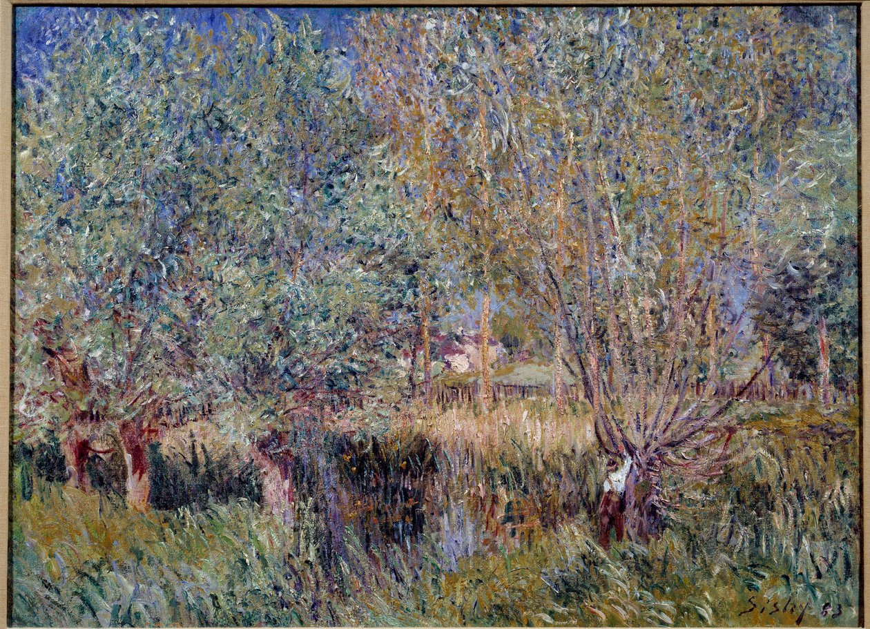奥尔文河岸边的柳树。 阿尔弗雷德·西斯莱 (Alfred Sisley) 的绘画 (1839 - 1899) 作者 阿尔弗雷德·西斯利