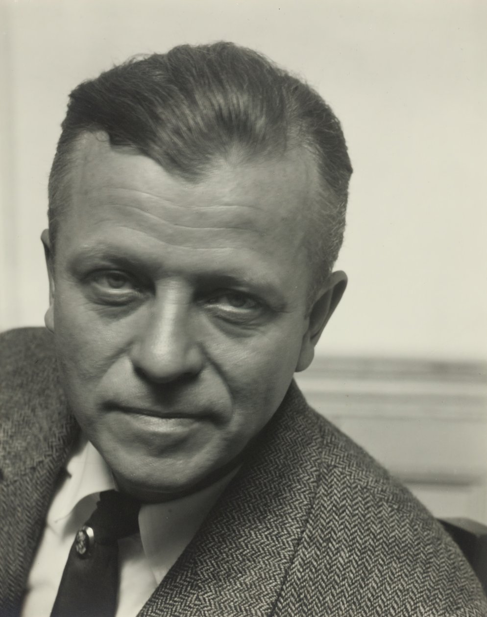 Arthur G. Dove, 1923. 作者 阿尔弗雷德·斯蒂格利茨