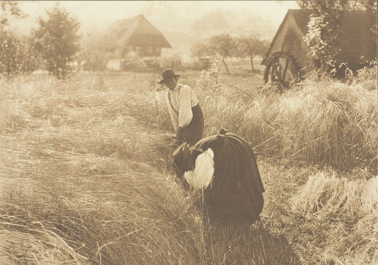 早晨，1894年。 作者 阿尔弗雷德·斯蒂格利茨