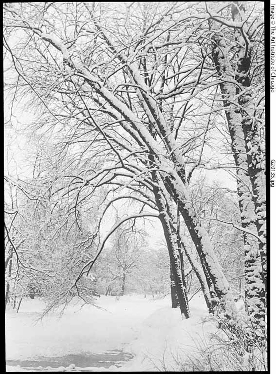 柏林雪景 作者 阿尔弗雷德·斯蒂格利茨