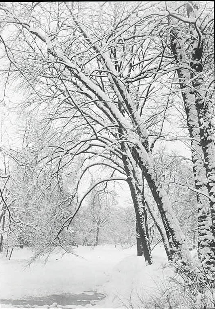雪景，柏林，188892年。 作者 阿尔弗雷德·斯蒂格利茨