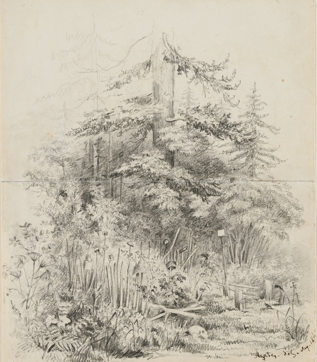 俄罗斯印第安人墓地，1841年（石墨在两张缝制的写字簿上的奶油编织纸） 作者 阿尔弗雷德·托马斯·玛格