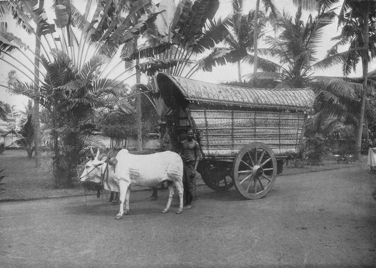 锡兰布洛克手推车，c1890，1910年 作者 阿尔弗雷德·威廉·阿曼杜斯板