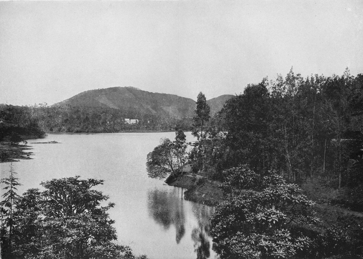 努沃勒埃利耶湖的一角，c1890，1910年 作者 阿尔弗雷德·威廉·阿曼杜斯板