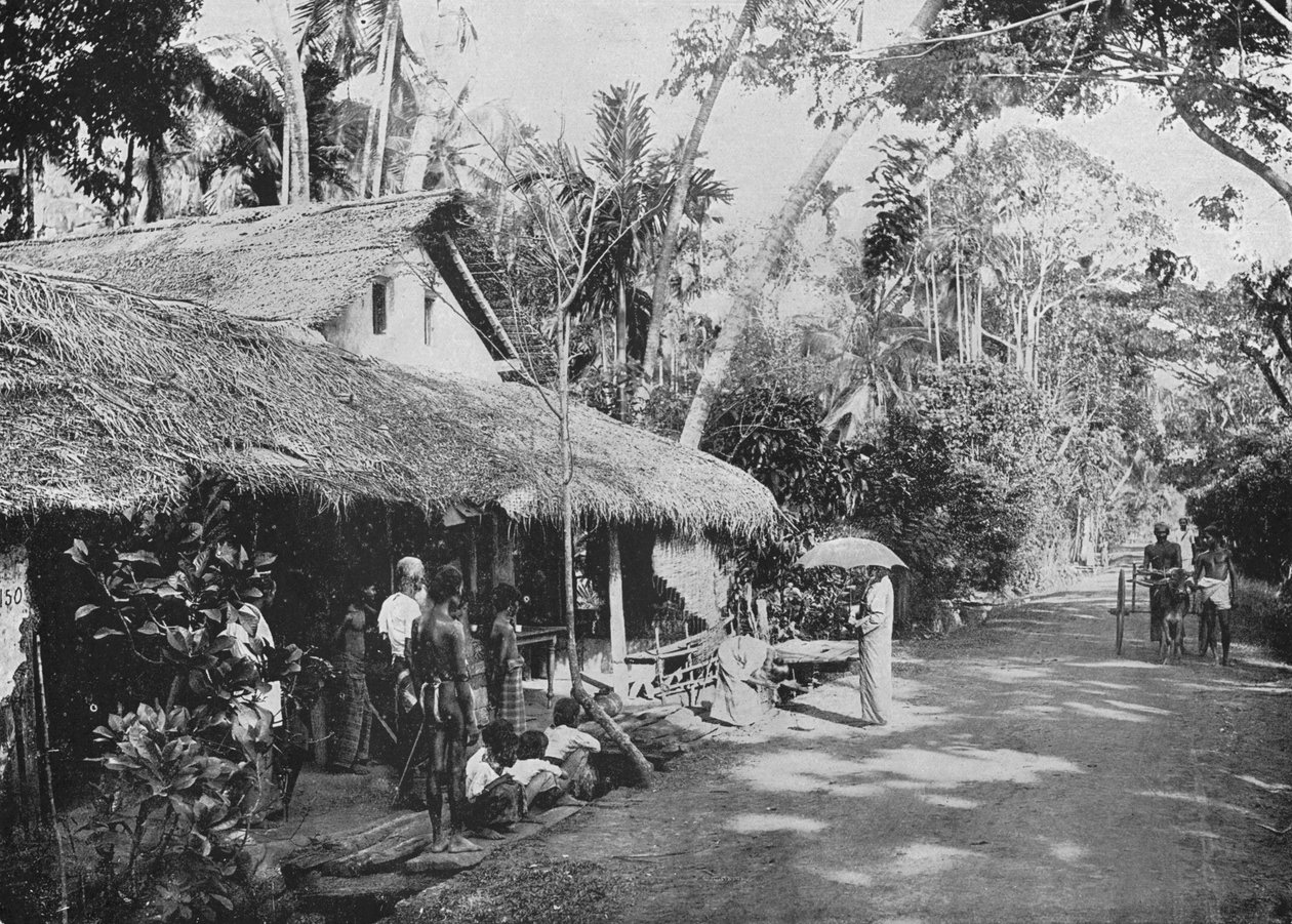 Boralesgamuwa，c1890，1910年 作者 阿尔弗雷德·威廉·阿曼杜斯板