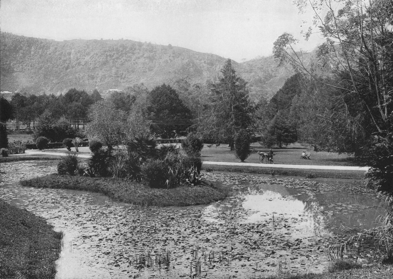 荷花池的哈加拉花园（Hakgalla Gardens from Lotus Pond），努沃勒埃利耶（Nuwara Eliya），c1890，1910年 作者 阿尔弗雷德·威廉·阿曼杜斯板