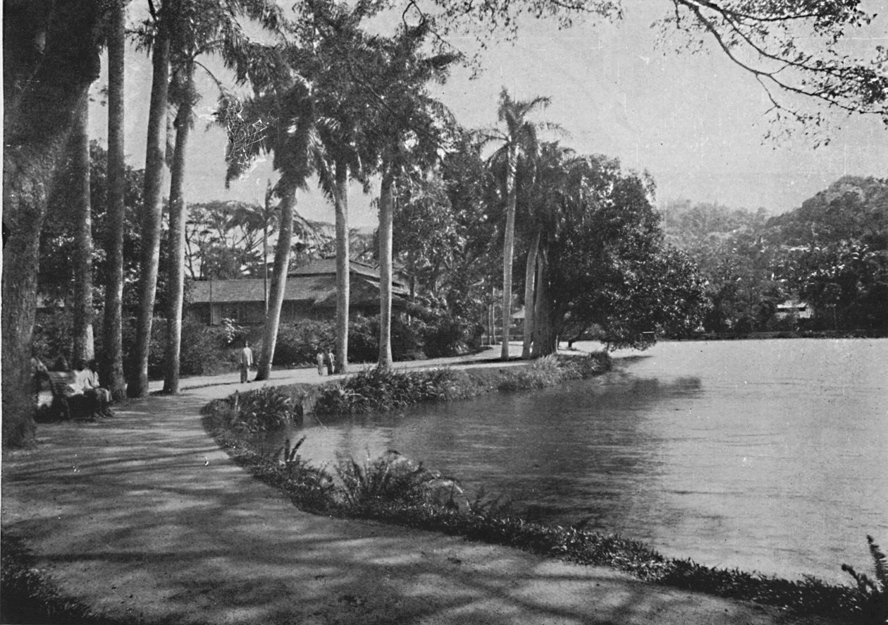 康提湖与大道，c1890，1910 作者 阿尔弗雷德·威廉·阿曼杜斯板
