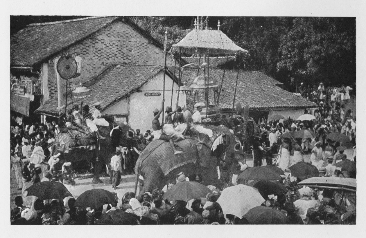 康提·佩拉赫拉（Kandy Perahera）。 -坎丹酋长的大象游行，c1890，1910年 作者 阿尔弗雷德·威廉·阿曼杜斯板