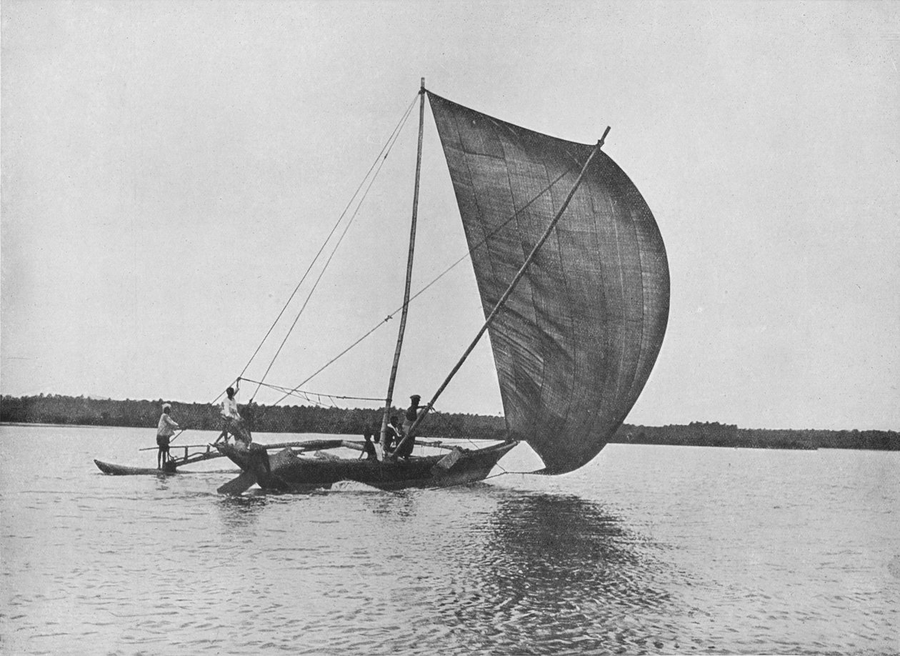 尼甘布湖上的独木舟在风帆中航行，c1890，1910年 作者 阿尔弗雷德·威廉·阿曼杜斯板