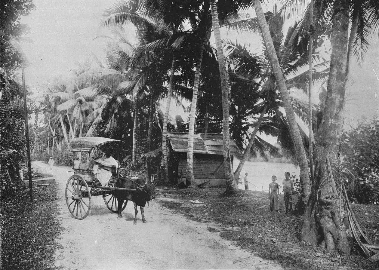 克兰尼雅河旁的路，约建于1890年，约1010年 作者 阿尔弗雷德·威廉·阿曼杜斯板