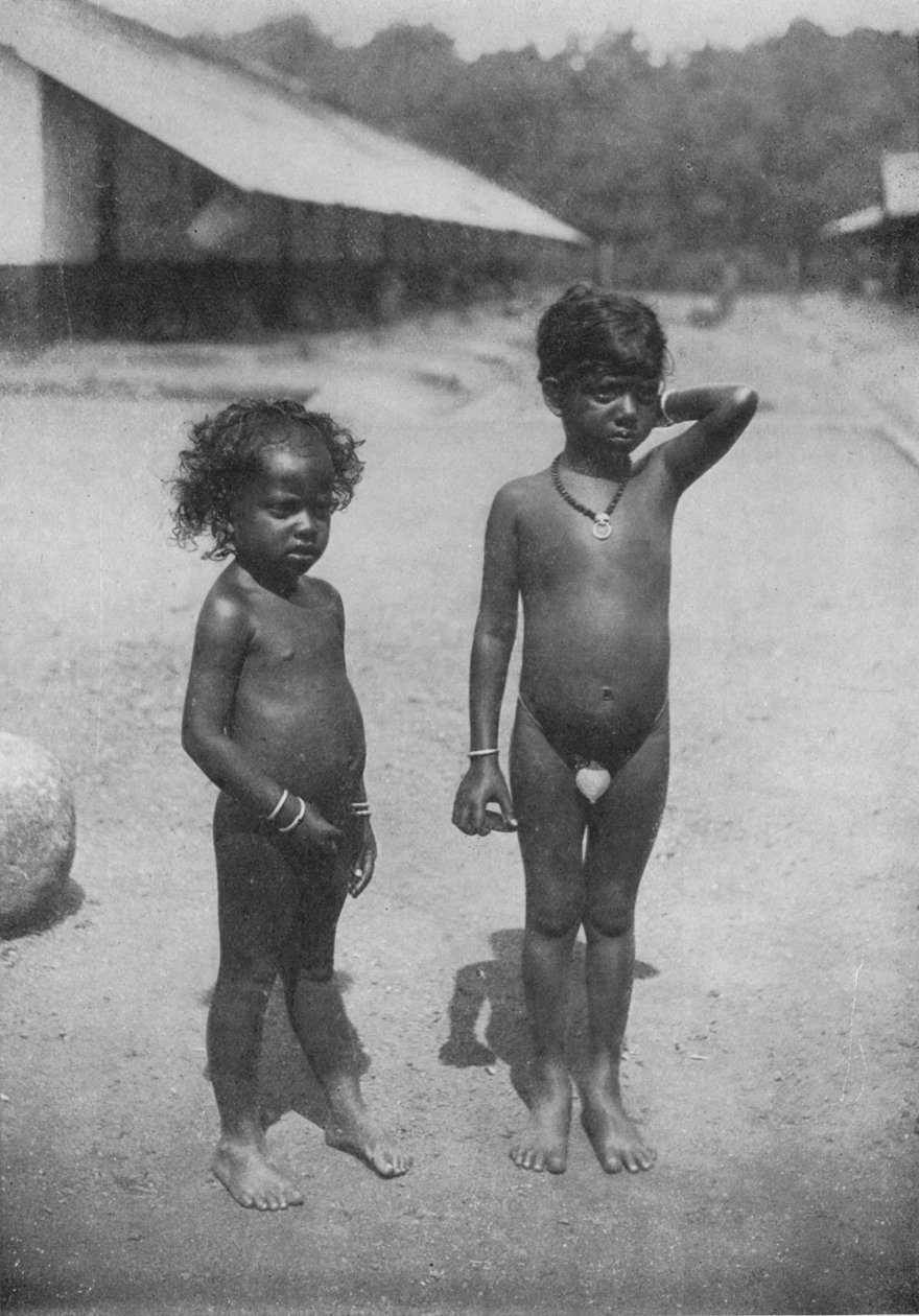 泰米尔庄园儿童（Tamil Estate Children），c1890，1910年 作者 阿尔弗雷德·威廉·阿曼杜斯板