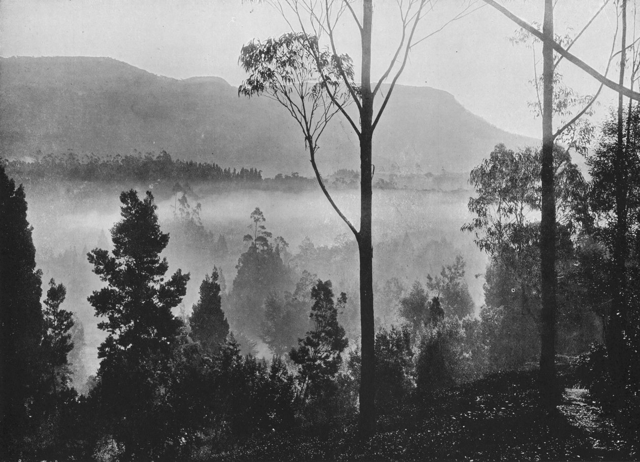 1910年在努沃勒埃利耶（Nuwara Eliya）出现的清晨薄雾 作者 阿尔弗雷德·威廉·阿曼杜斯板