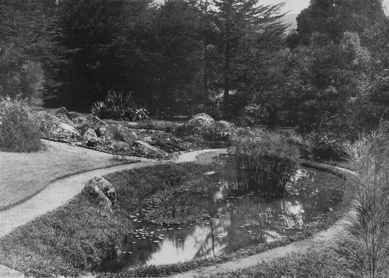 努沃勒埃利耶（Huballa Gardens），哈加拉花园（Hakgalla Gardens），假山花园（Rock Garden），c1890年和1910年 作者 阿尔弗雷德·威廉·阿曼杜斯板