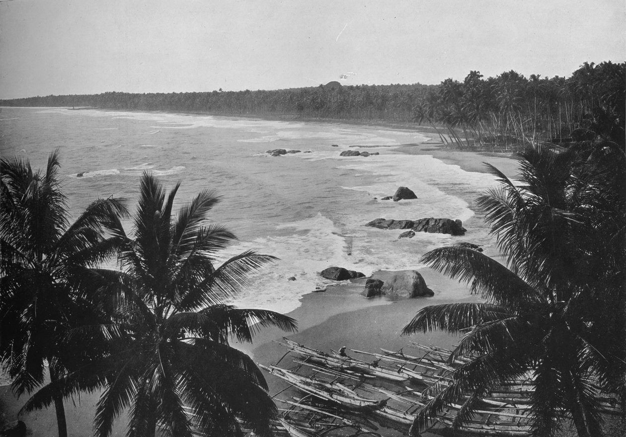 拉维尼亚山（Mount Lavinia）的景色，展示可可椰子沿着海边的风景，c1890，1910年 作者 阿尔弗雷德·威廉·阿曼杜斯板
