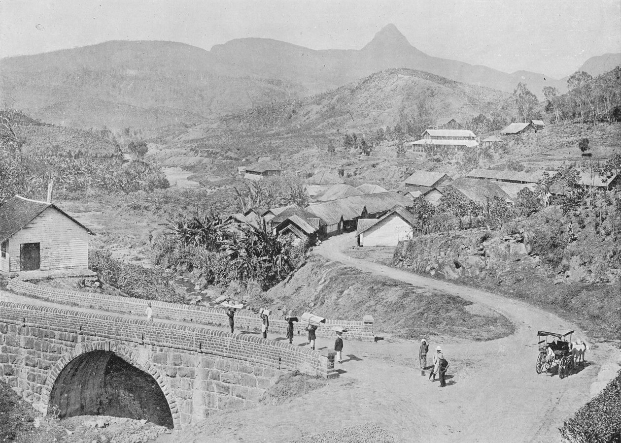 Maskeliya的视图，显示亚当斯峰，c1890，1910年 作者 阿尔弗雷德·威廉·阿曼杜斯板