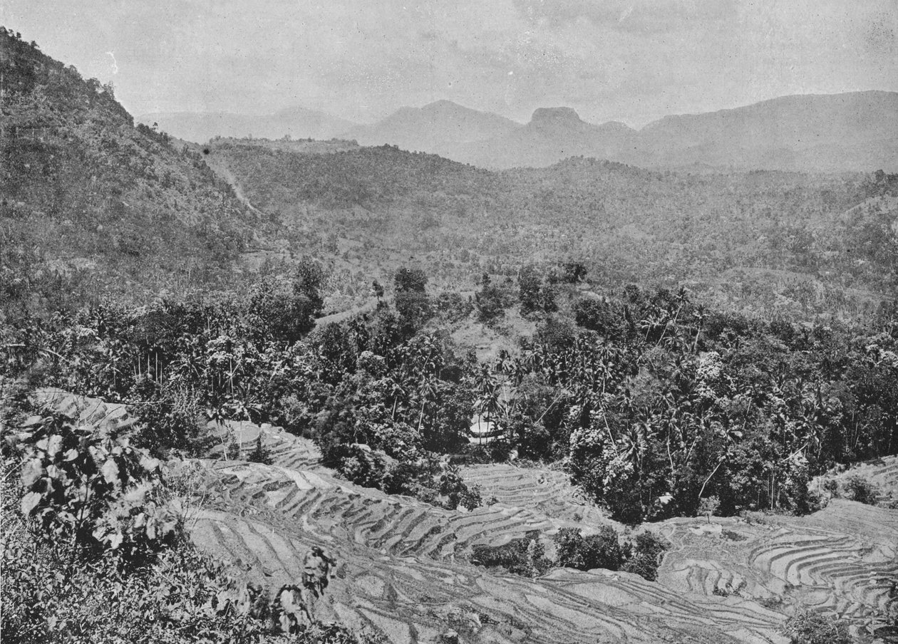 卡多格纳瓦山口的稻田景观，c1890，1910年 作者 阿尔弗雷德·威廉·阿曼杜斯板