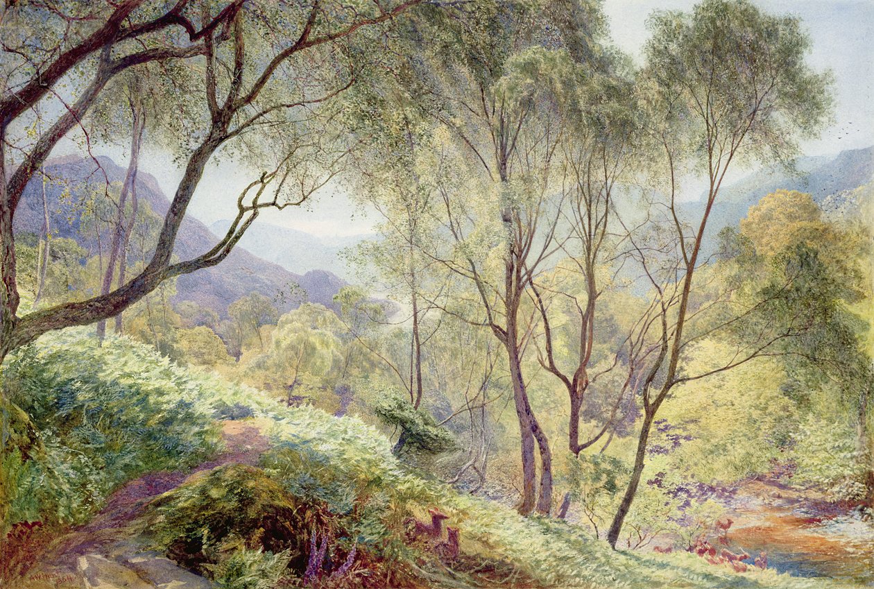 来自Gowbarrow Park的Ullswater，1864 作者 阿尔弗雷德·威廉·亨特