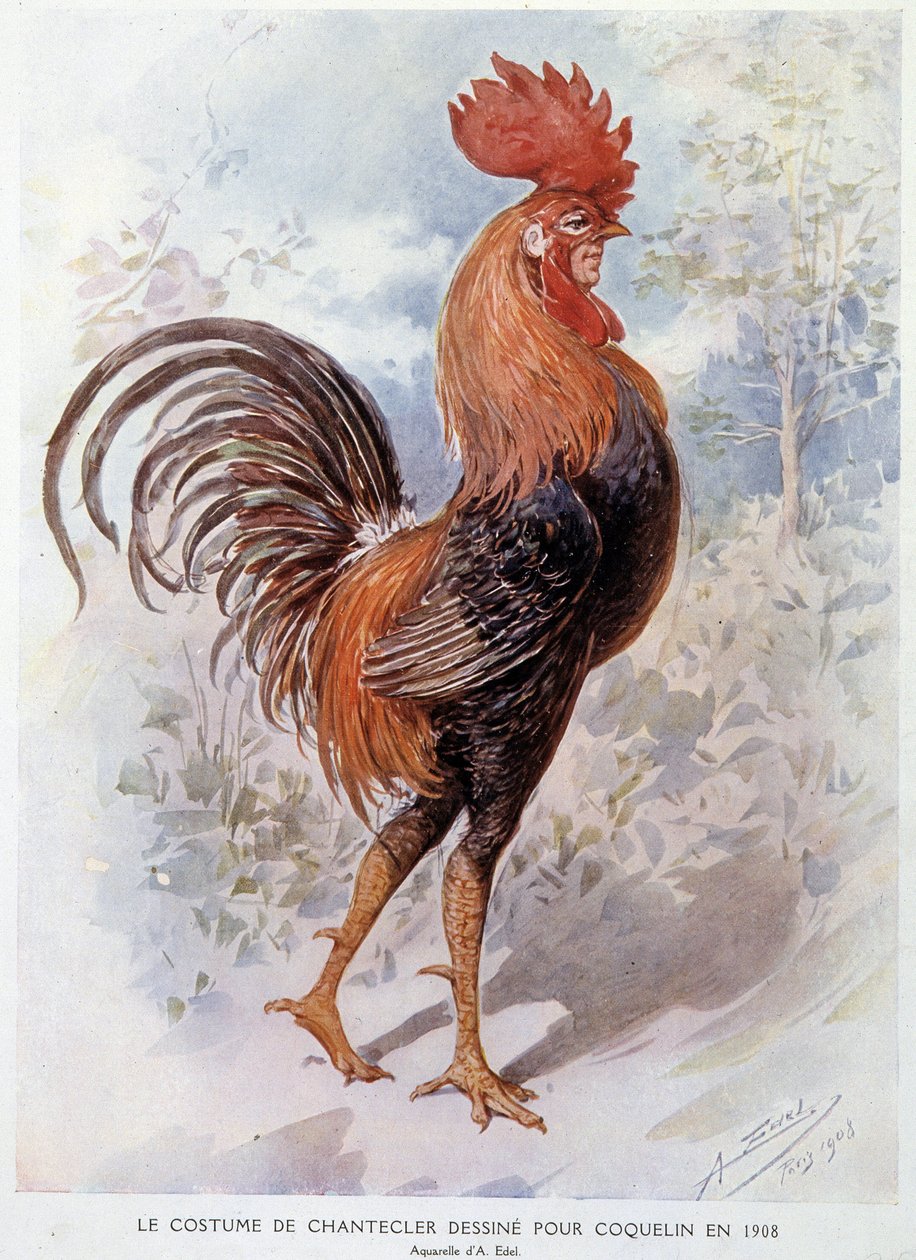 1908年为康斯坦丁-波普设计的钱德勒的公鸡服装，埃德蒙-罗斯坦的诗词作品 作者 阿尔弗雷多·埃德尔