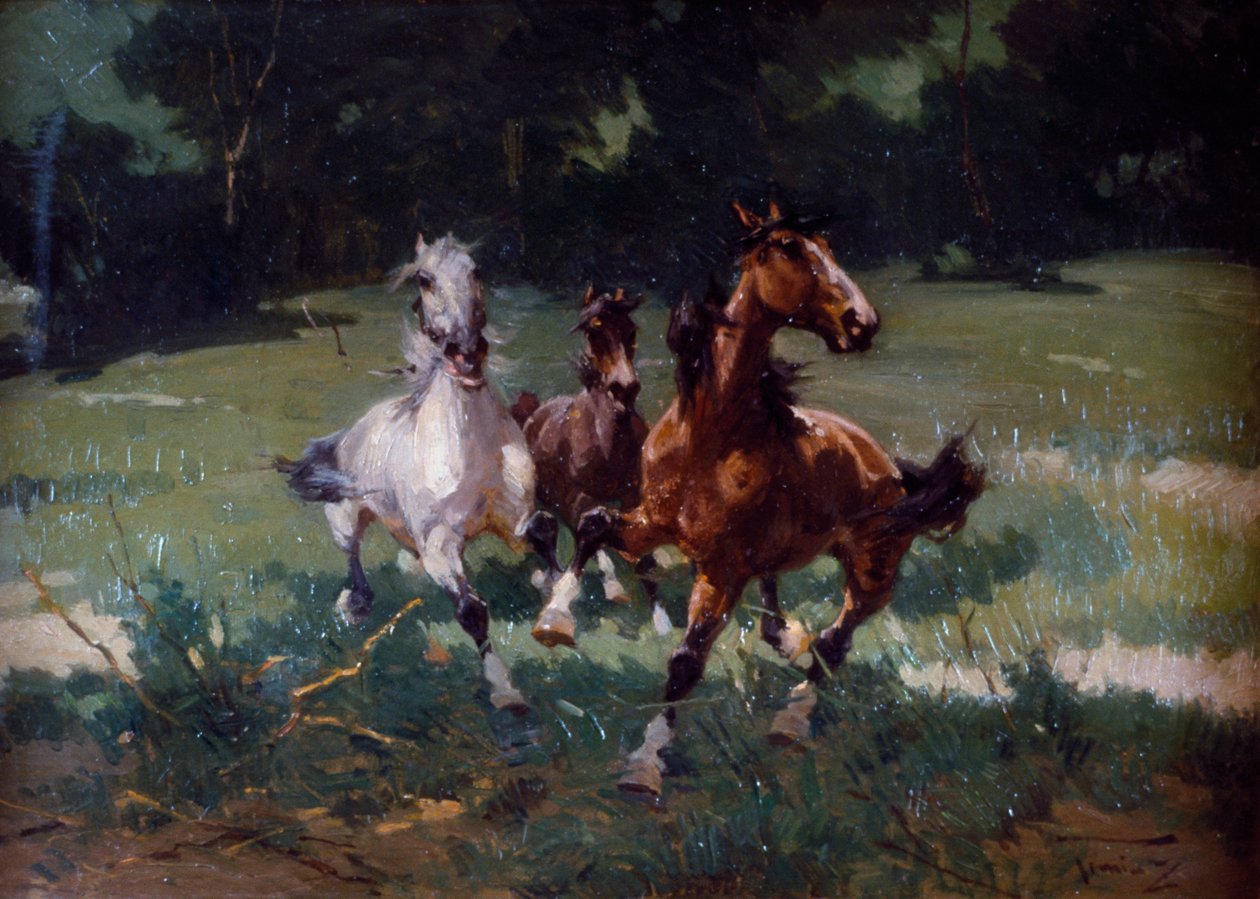 奔跑的马，阿尔弗雷多-托明兹（1854-1936）的画，纸板上的油画，67x48厘米，意大利 作者 阿尔弗雷多·托明兹