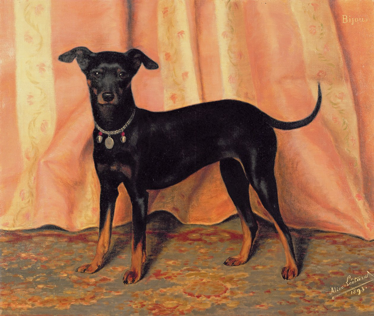 1893年比熊犬Bijou的研究 作者 爱丽丝紧身衣