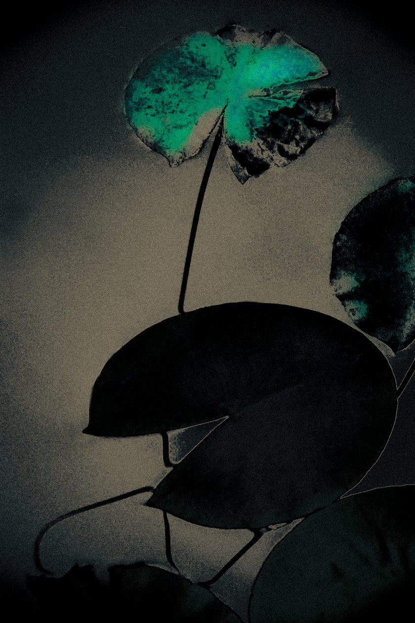 翡翠之春》，选自《春》系列，2020 年（手绘照片） 作者 爱丽丝·古里亚