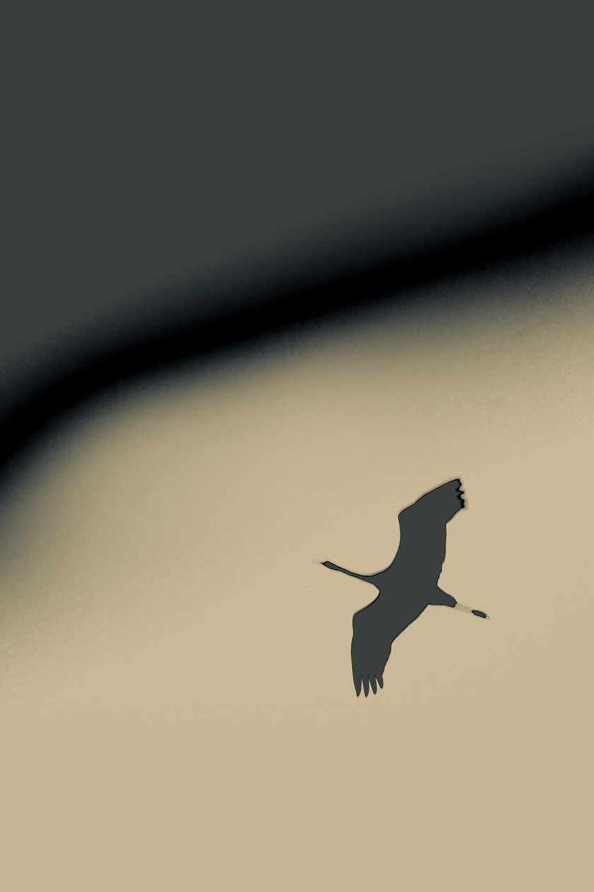 进入虚空，2016（摄影） 作者 爱丽丝·古里亚