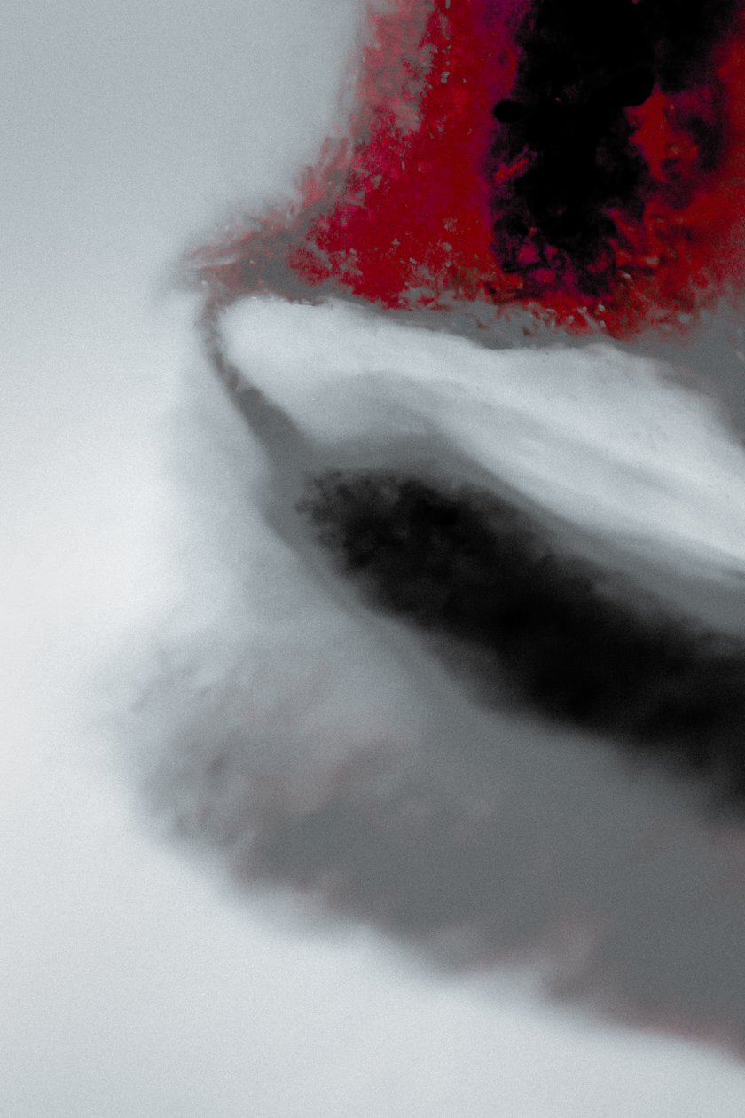 使命》，选自《传教士》系列，2019 年（摄影） 作者 爱丽丝·古里亚
