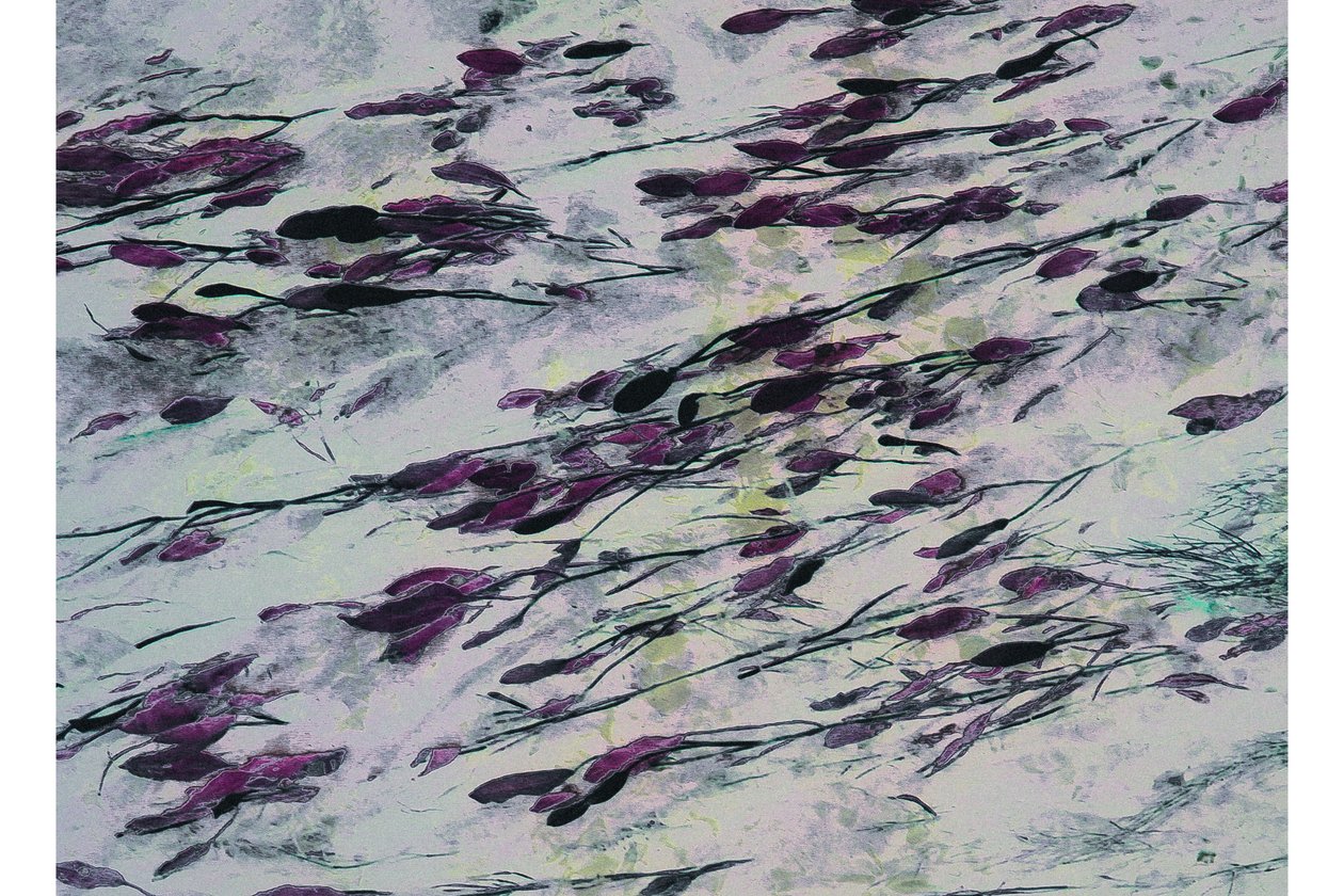 皇家游行，2017 年（手绘照片） 作者 爱丽丝·古里亚