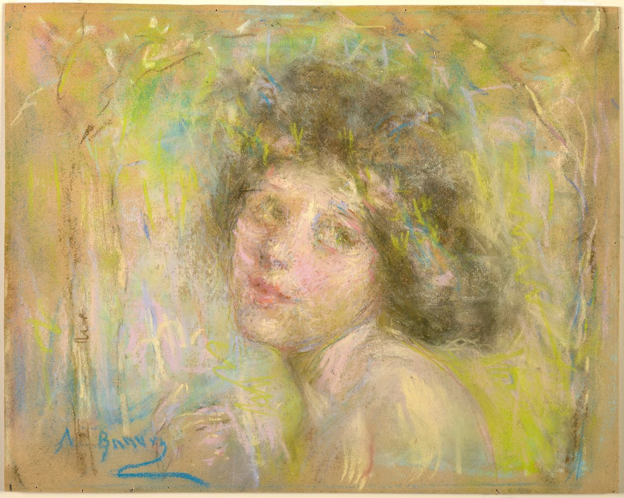 Blossom 作者 爱丽丝·派克·巴尼