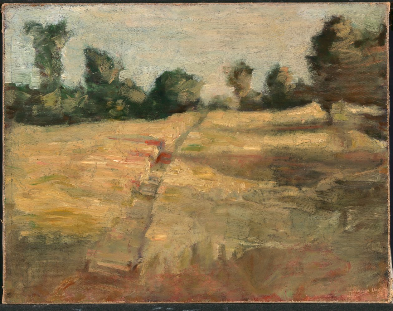 田野》，约1892年。 作者 爱丽丝·派克·巴尼