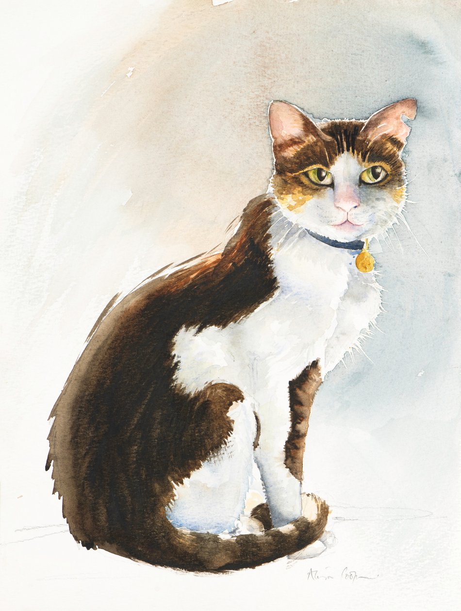 沙特猫戴夫，2019（水彩） 作者 艾莉森·库珀