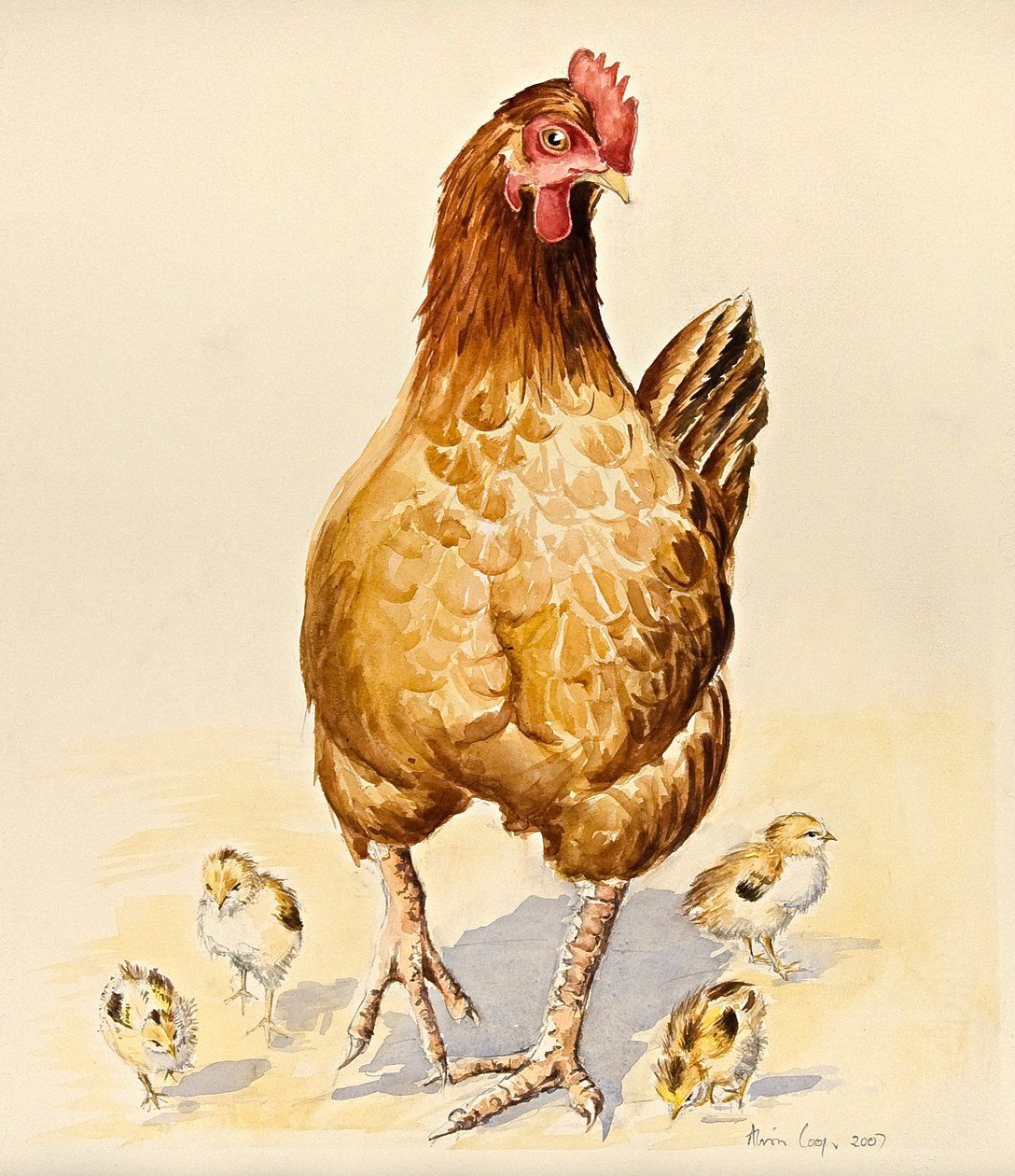 乔治的母鸡和她的小鸡，2007年 作者 艾莉森·库珀