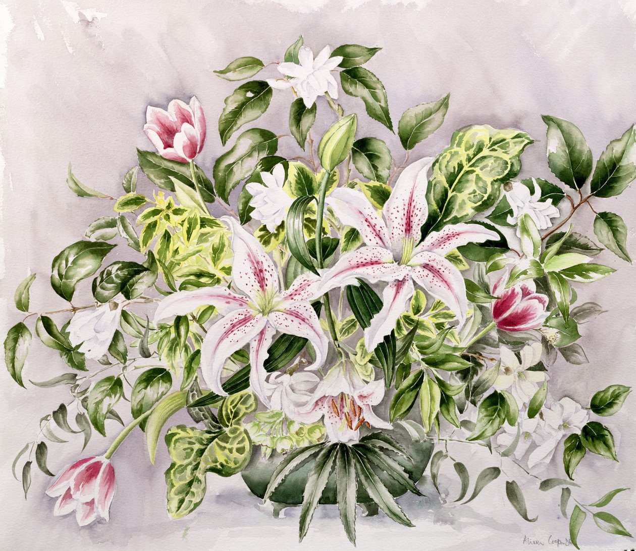 静物与百合花，1996年 作者 艾莉森·库珀